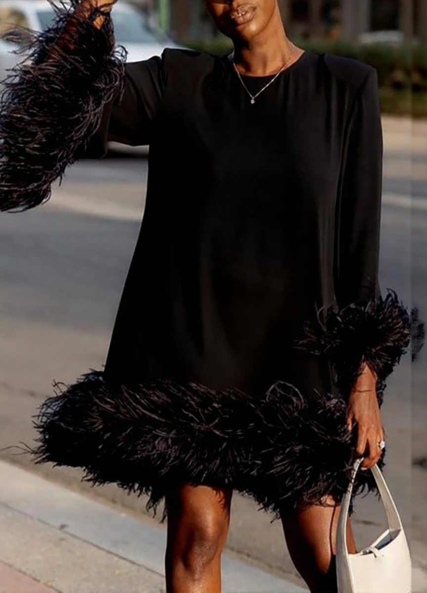 Asymmetrical Mini Dress with Feather Details